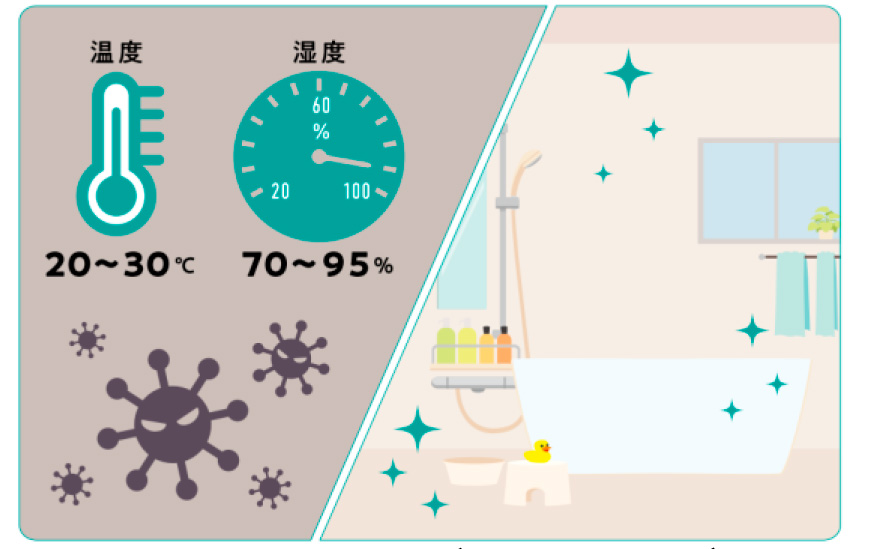 カビの発生をゼロに!